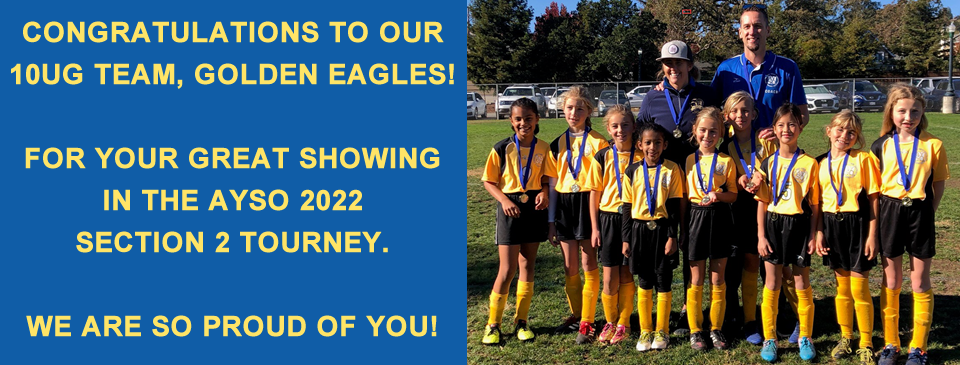 2022 Section Honoree